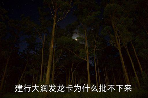 建行大潤發(fā)龍卡為什么批不下來