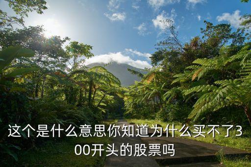 這個是什么意思你知道為什么買不了300開頭的股票嗎