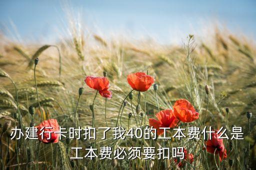 辦建行卡時扣了我40的工本費什么是工本費必須要扣嗎