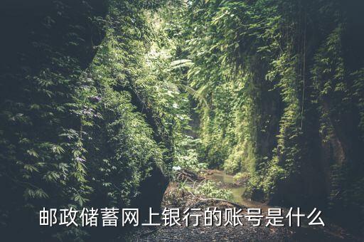 郵政網(wǎng)銀帳號(hào)是什么意思，郵政卡的網(wǎng)銀帳號(hào)是什么