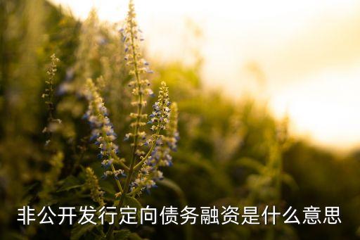非公開發(fā)行定向債務(wù)融資是什么意思