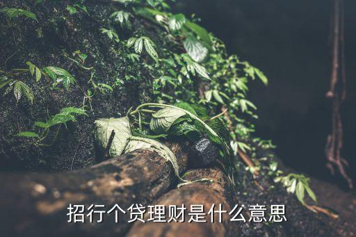 招行個貸理財是什么意思