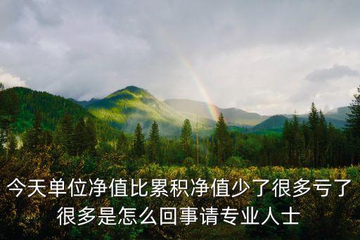 單位凈值15為什么虧了，為什么單位凈值長(zhǎng)了而賺不到錢(qián)