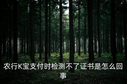 農(nóng)行K寶支付時檢測不了證書是怎么回事