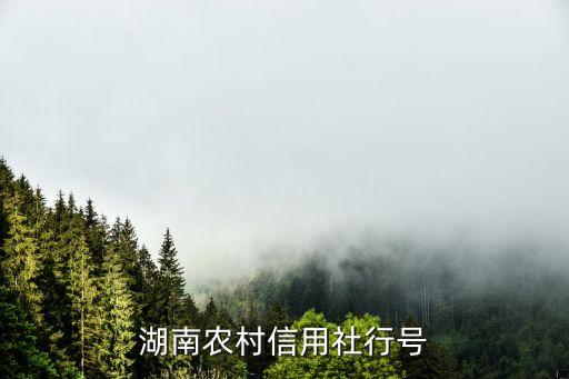 魏縣農(nóng)行在什么地方，湖南農(nóng)村信用社行號