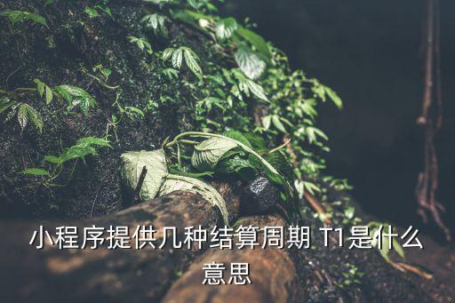什么是結(jié)算周期，流量結(jié)算周期內(nèi)有效什么意思