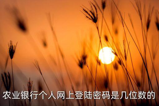 農(nóng)行的網(wǎng)站密碼是什么，中國(guó)農(nóng)業(yè)銀行官網(wǎng)登陸查詢(xún)密碼是甚么