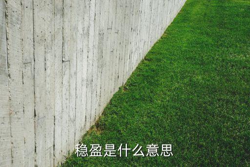 穩(wěn)盈的意思是什么意思是什么，穩(wěn)盈安e貸浮動價加什么意思