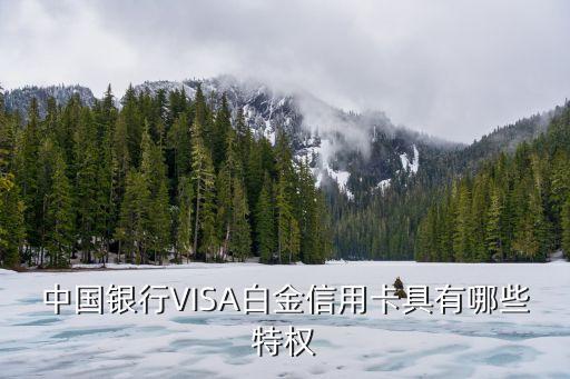 中國銀行VISA白金信用卡具有哪些特權(quán)