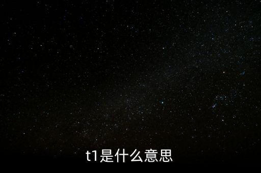 t 1中的1是什么意思，買股票時的T1是什么意思