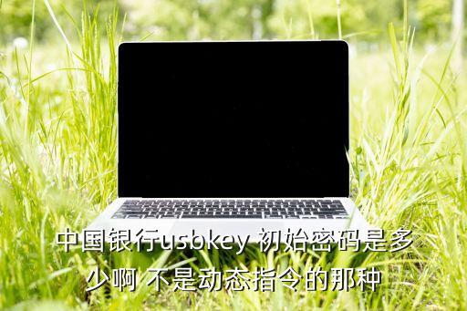 中行數(shù)字證書密碼是什么，中國銀行usbkey 初始密碼是多少啊 不是動態(tài)指令的那種