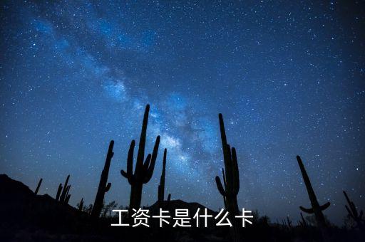 銀行工資卡叫什么卡，一般銀行辦理的工資卡屬于借記卡