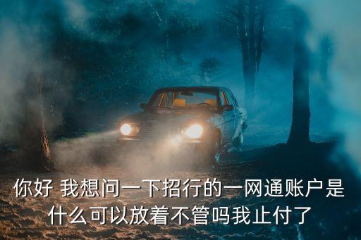 什么是招行一網(wǎng)通，誰比較了解招行的網(wǎng)銀這個一網(wǎng)通賬號是什么鬼