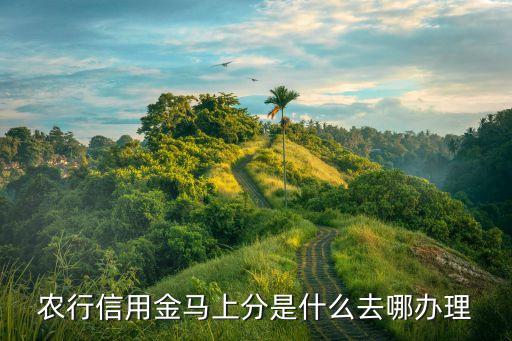 農(nóng)行信用金馬上分是什么去哪辦理