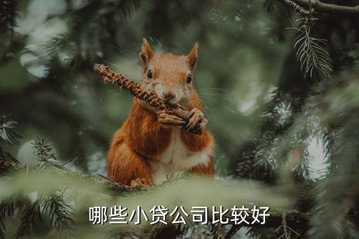 哪些小貸公司比較好