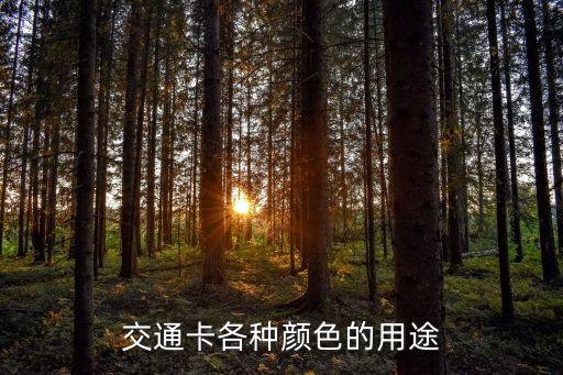 交通卡各種顏色的用途