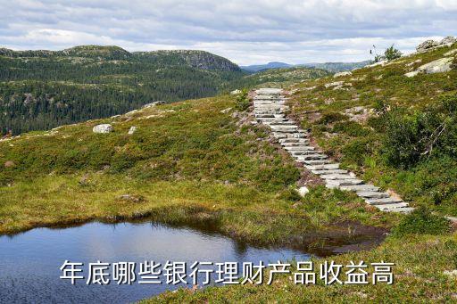 存什么銀行可以收益，錢(qián)存什么銀行利潤(rùn)高