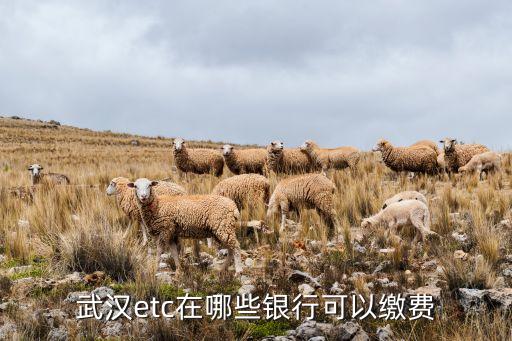 etc可以在什么銀行充值支付寶，什么銀行能充ETC卡
