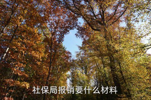 醫(yī)保報銷 需要什么，醫(yī)保報銷所需材料