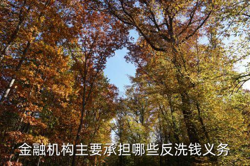 反洗錢銀行需要做什么，金融機構主要承擔哪些反洗錢義務