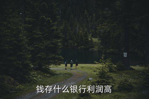 錢存什么銀行利潤(rùn)高