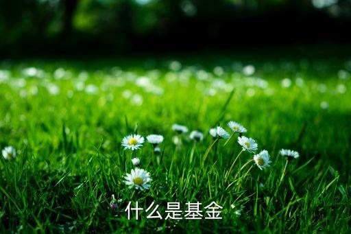 什么是基金
