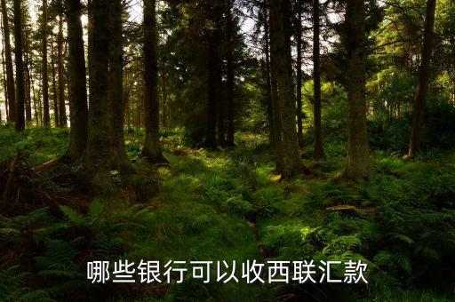 什么銀行可以西聯(lián)匯款，哪些銀行有西聯(lián)匯款業(yè)務(wù)