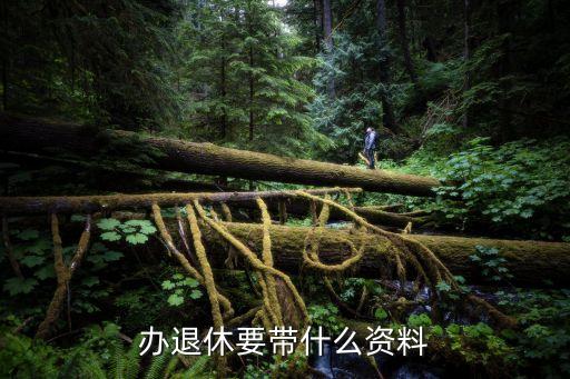 辦理退休卡拿什么，辦理退休帶哪些材料