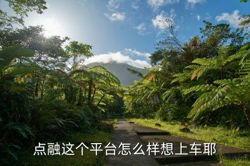 點(diǎn)融網(wǎng)的app叫什么意思，點(diǎn)融這個(gè)平臺(tái)怎么樣想上車耶