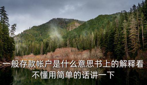 一般存款帳戶是什么意思書上的解釋看不懂用簡(jiǎn)單的話講一下