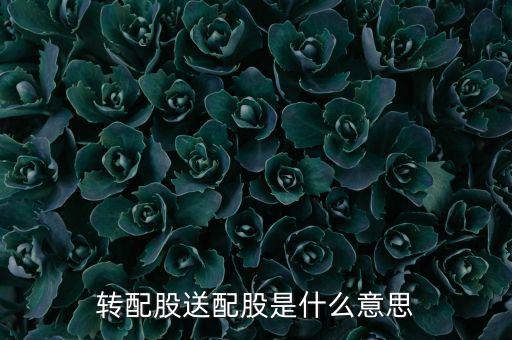 轉(zhuǎn)配股送配股是什么意思