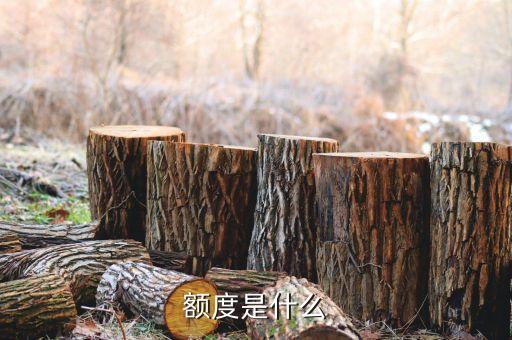 額度是什么