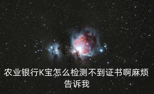 農(nóng)業(yè)銀行K寶怎么檢測不到證書啊麻煩告訴我