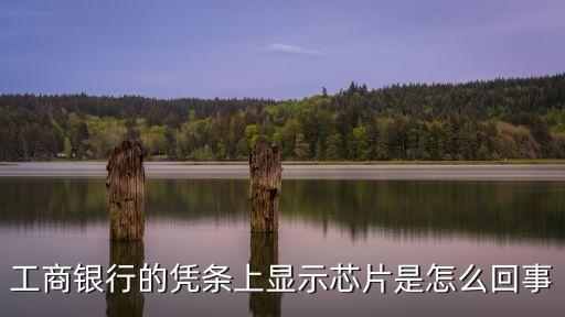 工商銀行的憑條上顯示芯片是怎么回事