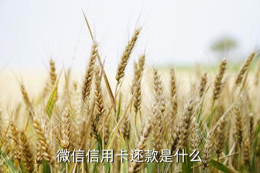 微信信用卡還款是什么