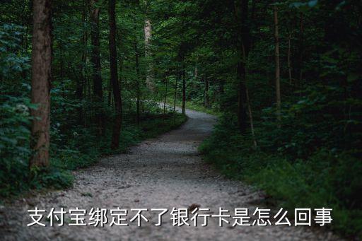 支付寶綁定不了銀行卡是怎么回事