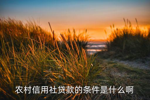 農村信用社借款條件是什么，農村信用社貸款條件有哪些