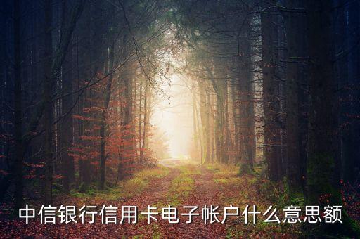 中信銀行信用卡電子帳戶(hù)什么意思額