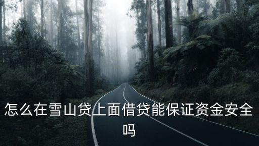 雪山貸貸款要什么條件，怎么在雪山貸上面借貸能保證資金安全嗎