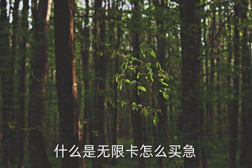 無限pp卡是什么意思，cmwap無限卡是什么