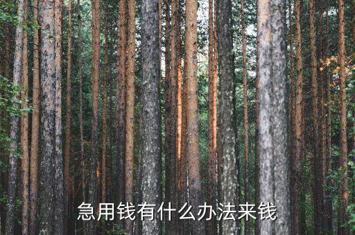 急用錢有什么辦法來(lái)錢