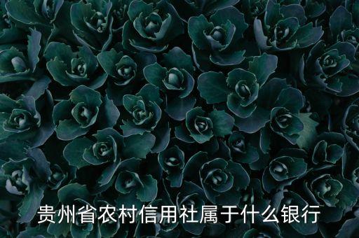 貴州省農村信用社屬于什么銀行