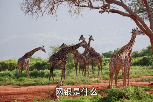 網(wǎng)銀是什么