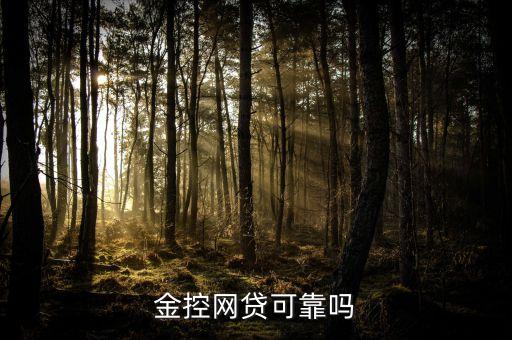 點滴身邊是什么網(wǎng)貸，博金貸安全嗎