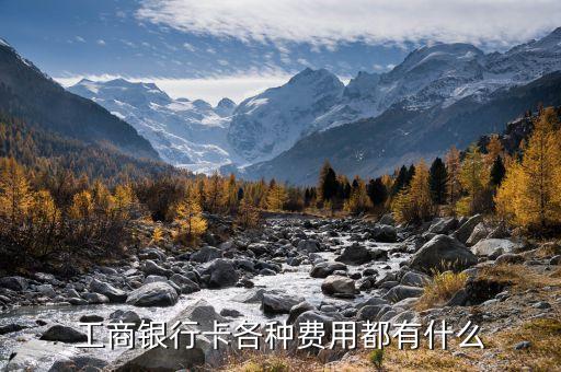 工商銀行卡各種費用都有什么