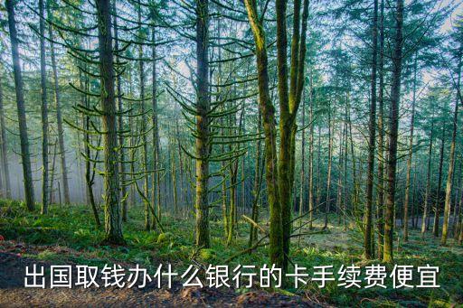 出國取錢辦什么銀行的卡手續(xù)費(fèi)便宜