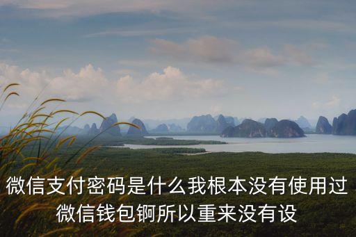 微信支付密碼是什么，微信支付密碼是什么我根本沒有使用過微信錢包錒所以重來沒有設(shè)