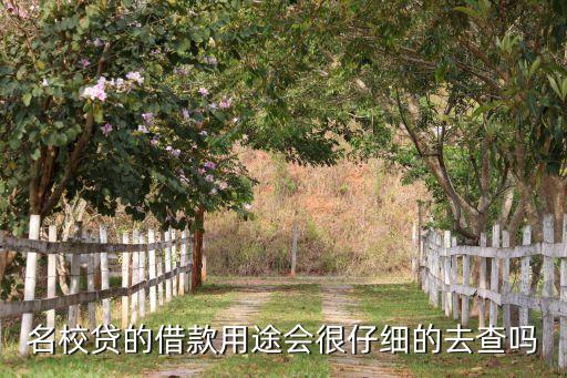 名校貸的借款用途會很仔細的去查嗎