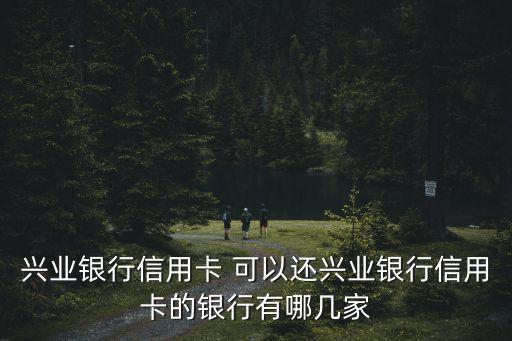興業(yè)銀行信用卡 可以還興業(yè)銀行信用卡的銀行有哪幾家