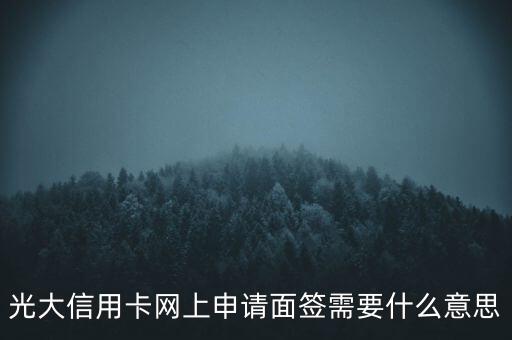 光大二卡面簽要帶什么意思，光大信用卡網(wǎng)上申請面簽需要什么意思